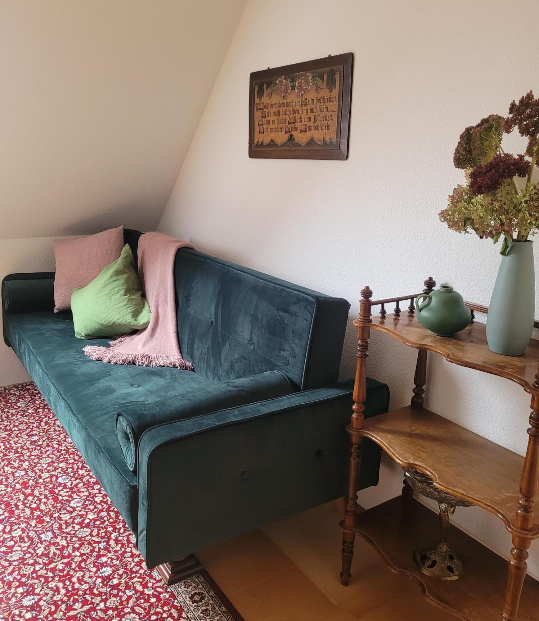 Fewo Weitblick In Hoehenlage Von Greiz Extérieur photo