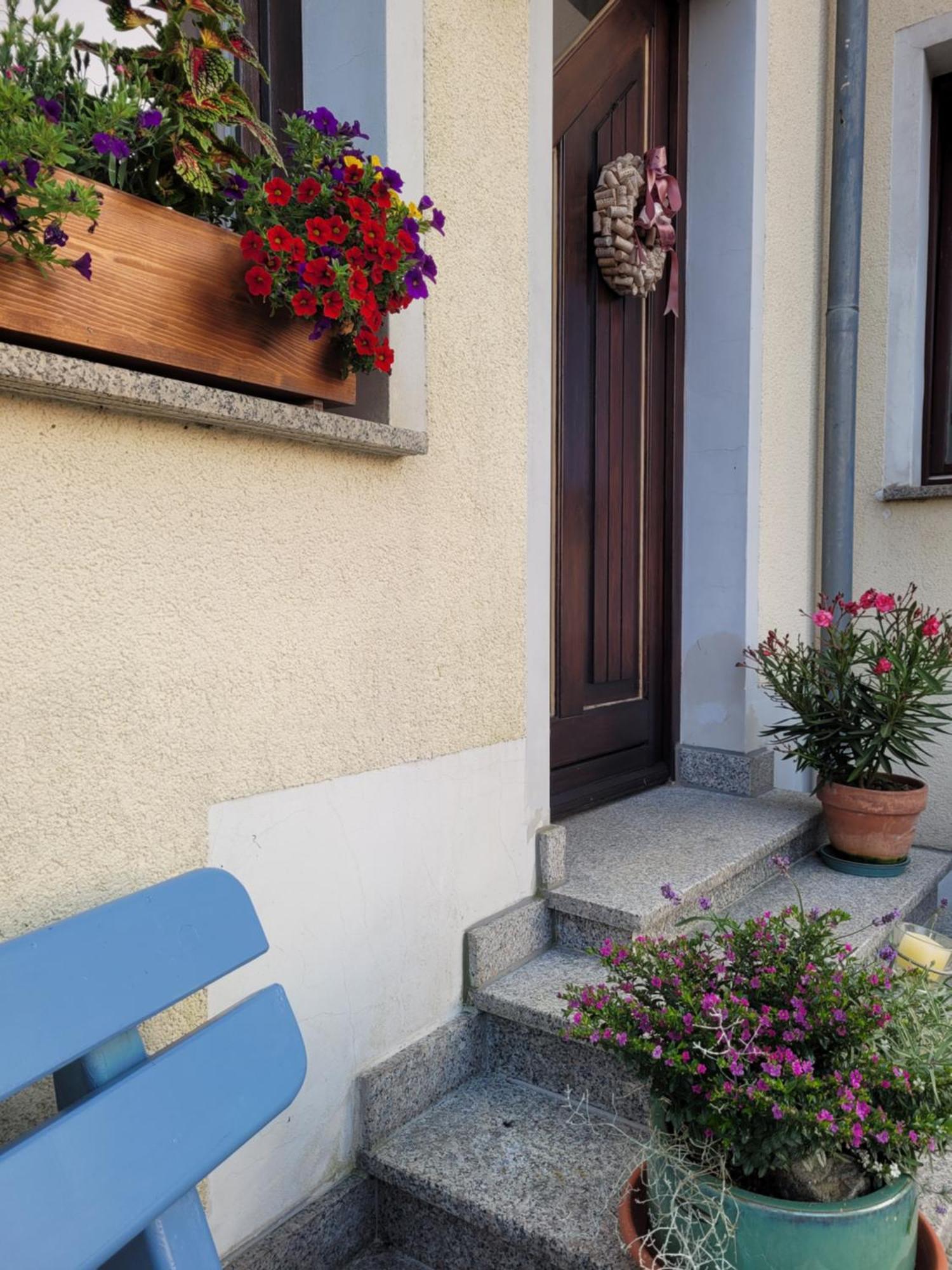 Fewo Weitblick In Hoehenlage Von Greiz Extérieur photo